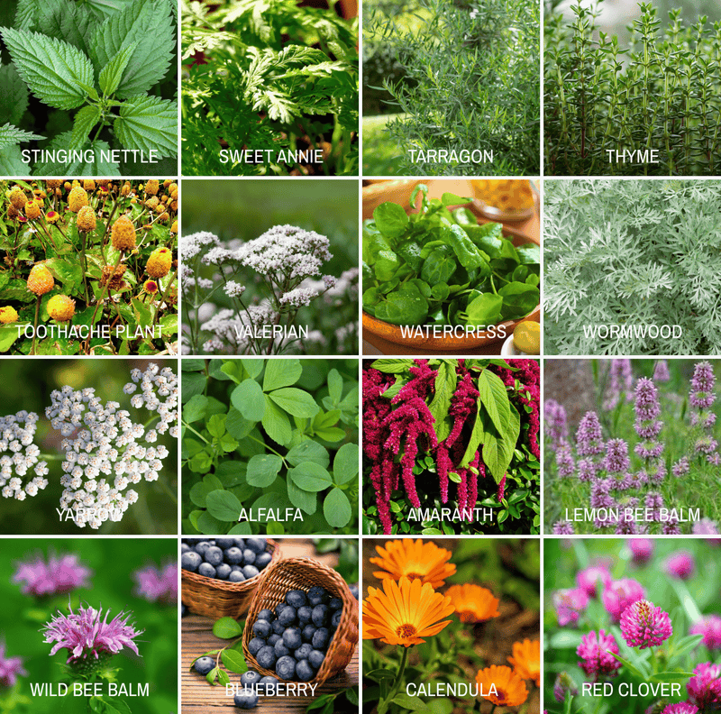 Load image into Gallery viewer, Community Garden Survival Seed Vault – 120 Seed Varieties
