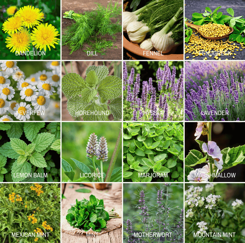 Load image into Gallery viewer, Community Garden Survival Seed Vault – 120 Seed Varieties
