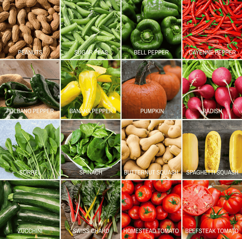 Load image into Gallery viewer, Community Garden Survival Seed Vault – 120 Seed Varieties
