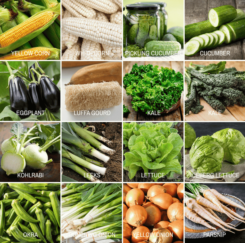 Load image into Gallery viewer, Community Garden Survival Seed Vault – 120 Seed Varieties
