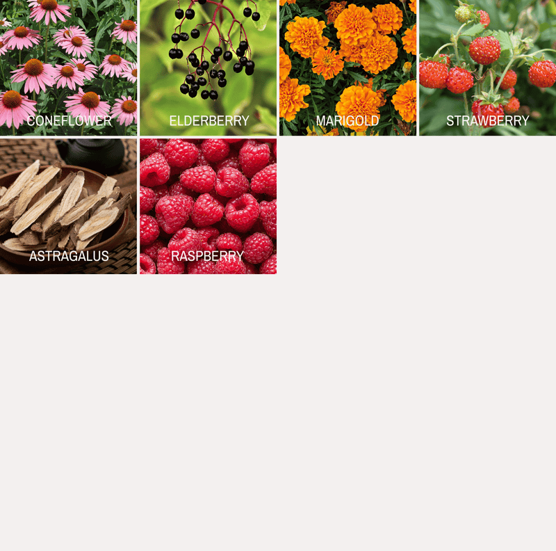 Load image into Gallery viewer, Community Garden Survival Seed Vault – 120 Seed Varieties

