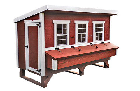 XL chicken coop for up to 20 chickens