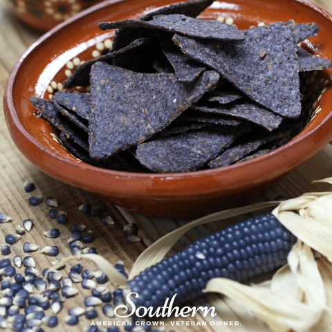 Hopi Blue Corn – 30 Seeds, additional product view 2