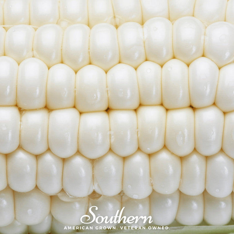 Load image into Gallery viewer, Stowells Evergreen Sweet Corn – 30 Seeds
