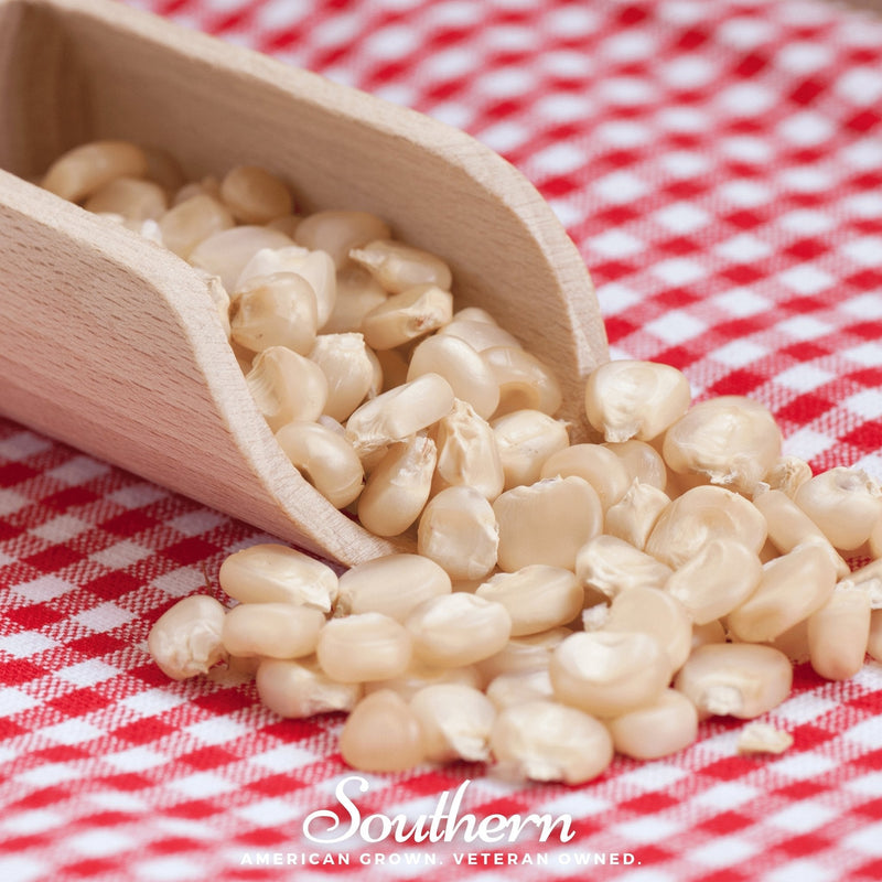 Load image into Gallery viewer, Stowells Evergreen Sweet Corn – 30 Seeds
