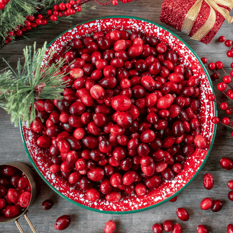 Cranberry American 50 Seeds