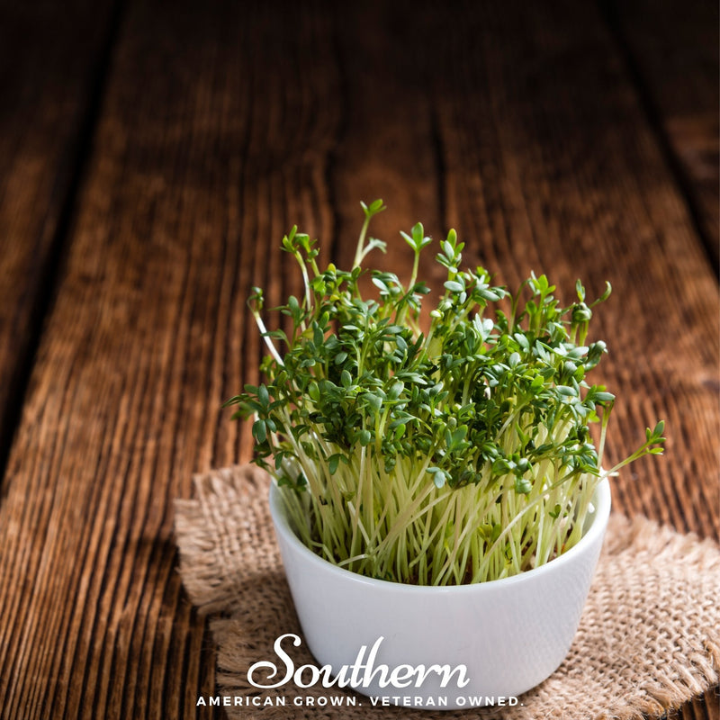 Load image into Gallery viewer, Pepper Cress – 500 Seeds
