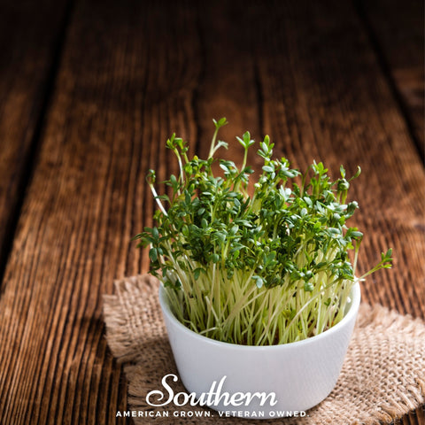 Pepper Cress 500 Seeds