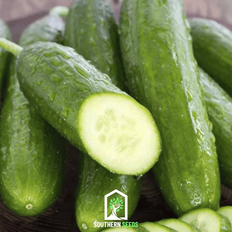 Load image into Gallery viewer, Beit Alpha Cucumber – 30 Seeds
