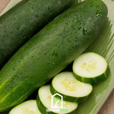 Beit Alpha Cucumber 30 Seeds