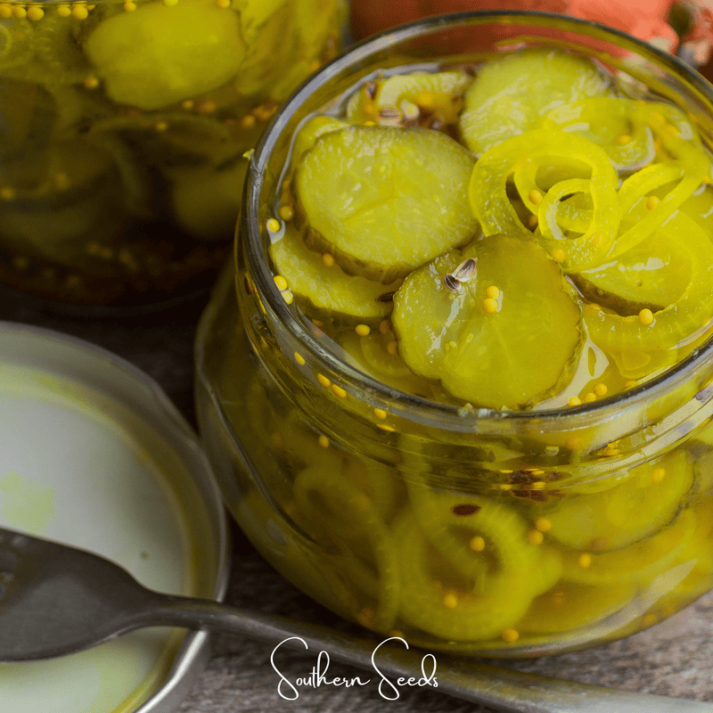 Load image into Gallery viewer, National Pickling Cucumber – 30 Seeds
