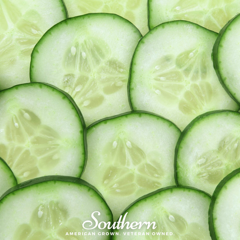 Load image into Gallery viewer, Spacemaster Cucumber – 30 Seeds

