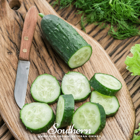 Spacemaster Cucumber 30 Seeds