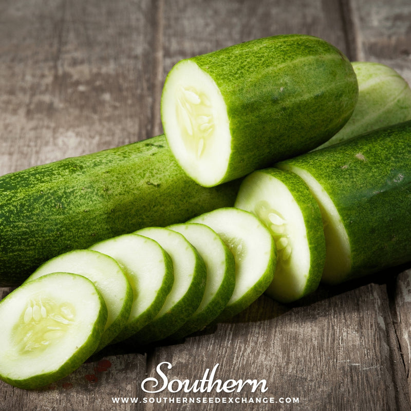 Load image into Gallery viewer, Straight 8 Cucumber – 30 Seeds
