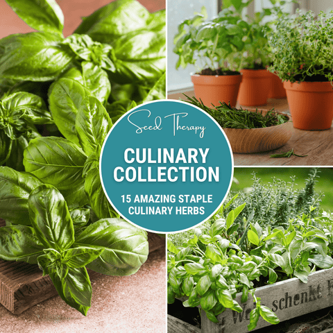 Culinary Herb Seed Collection package, 15 varieties, GrowTime Garden Supply