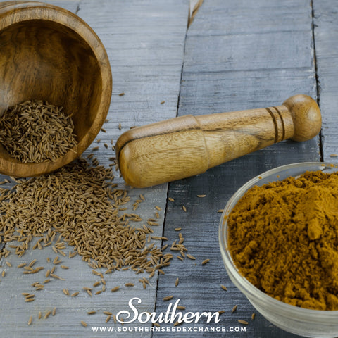 Cumin – 100 Seeds, additional product view 2