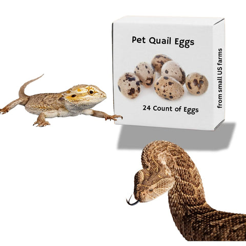Whole quail eggs for pets, raw feeding, packaging