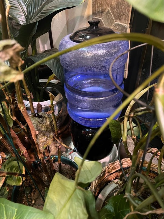 Load image into Gallery viewer, 2-month Vacation Watering Kit
