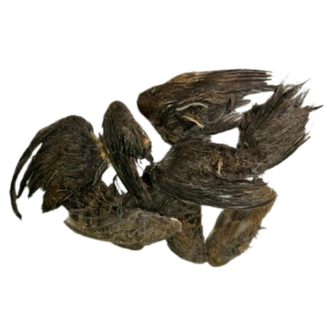 Quail wings for dog training, small, 10-count packaging
