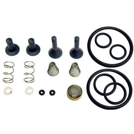 TRS21 valve rebuild kit