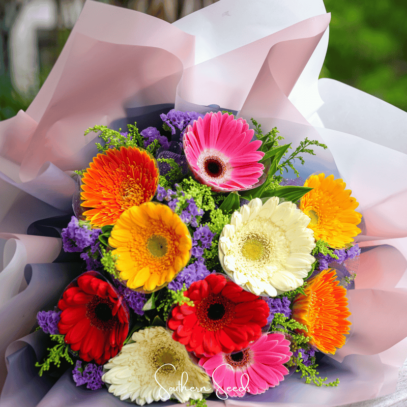 Load image into Gallery viewer, Gerbera Daisy Mix – 20 Seeds

