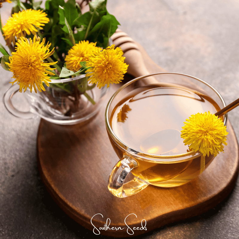 Load image into Gallery viewer, True Dandelion – 50 Seeds
