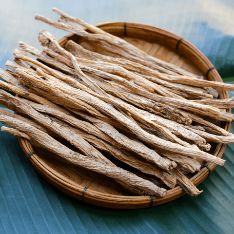 Dang-shen – 50 Seeds, additional product view 2