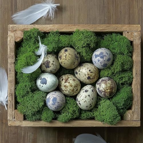 Load image into Gallery viewer, Coturnix Quail Fertile Hatching Eggs, 12 Count, Carefully Sourced and Selected for Quality, Ideal for Incubation and Sustainable Egg Hatching from Family Farms and Hatcheries picked daily fresh
