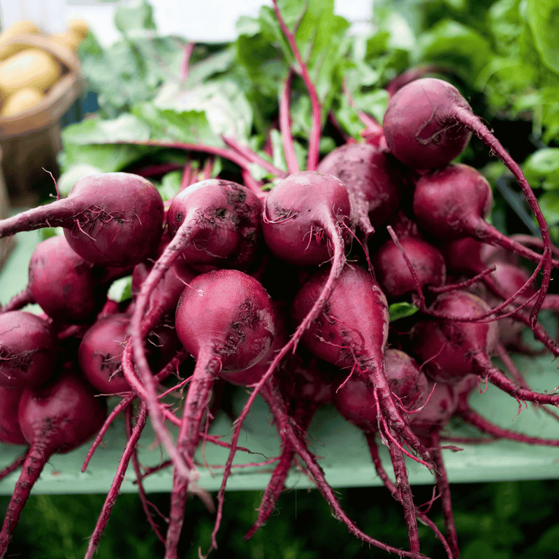 Load image into Gallery viewer, Detroit Dark Red Beet – 200 Seeds
