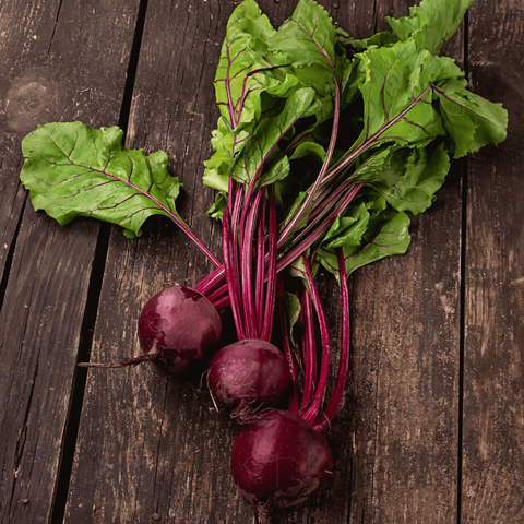 Detroit Dark Red Beet seeds package, 200 count, GrowTime Garden Supply