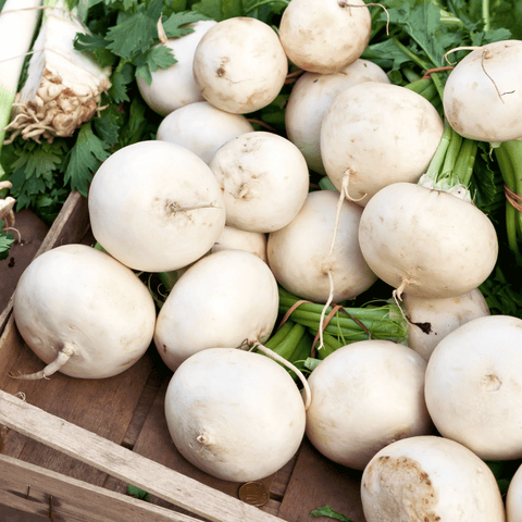 Detroit White Beet seeds package, 200 count, GrowTime Garden Supply