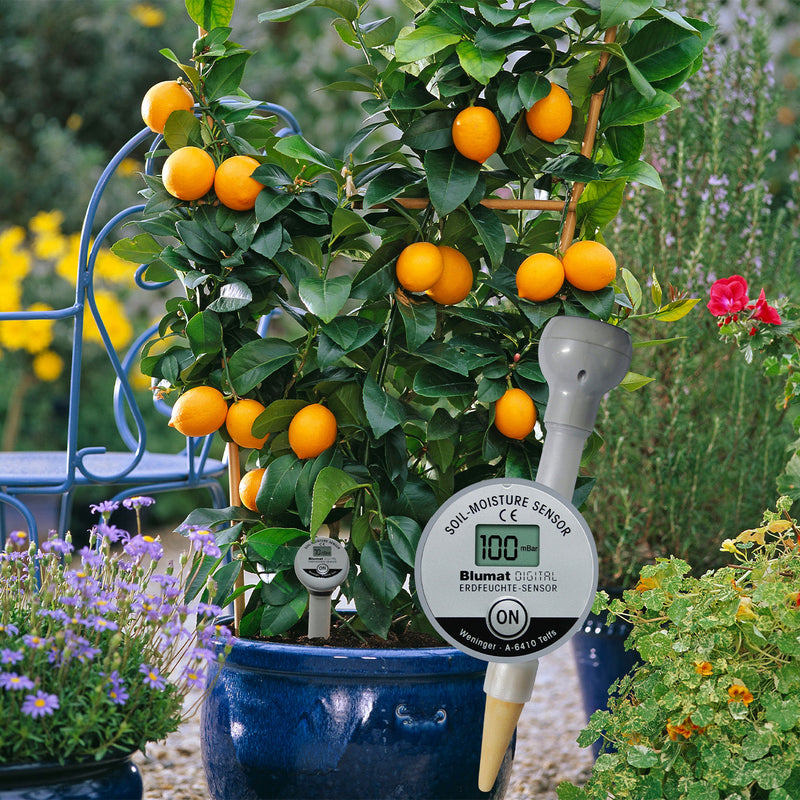 Load image into Gallery viewer, Blumat Digital Moisture Meter Kits
