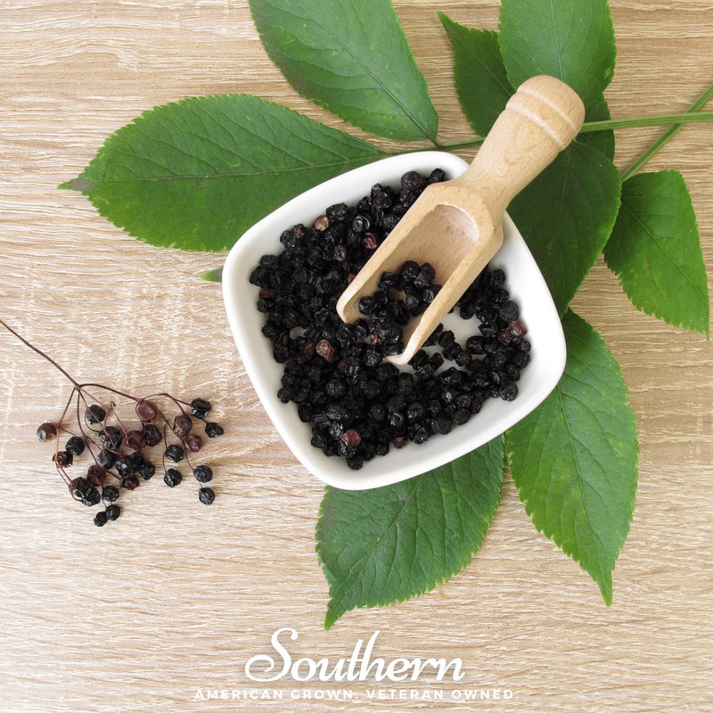 Load image into Gallery viewer, Dried Elderberry – 1 cups
