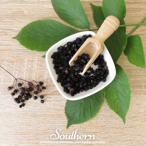 Dried elderberry, close-up detail