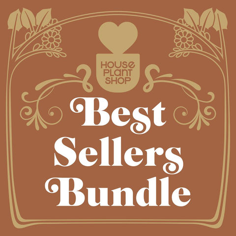 Best Selling Bundle, additional product view 2