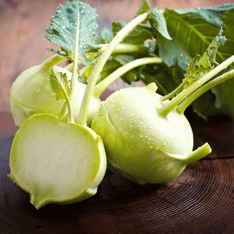 Early White Vienna Kohlrabi seeds package, 100 count, GrowTime Garden Supply