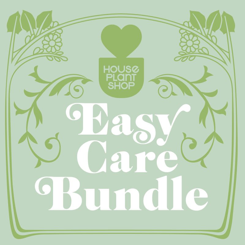 Load image into Gallery viewer, Easy Care Variety Bundle
