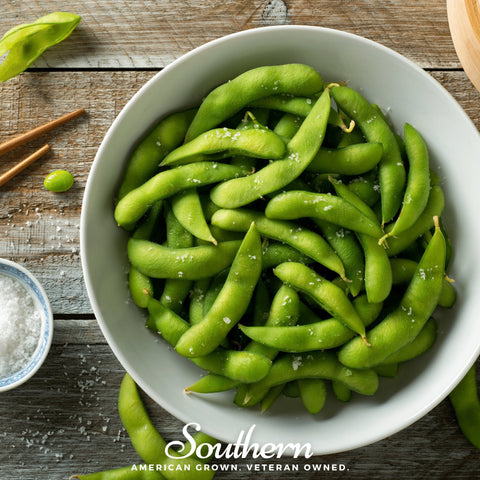 Be Sweet Edamame Soybean Bush 20 Seeds
