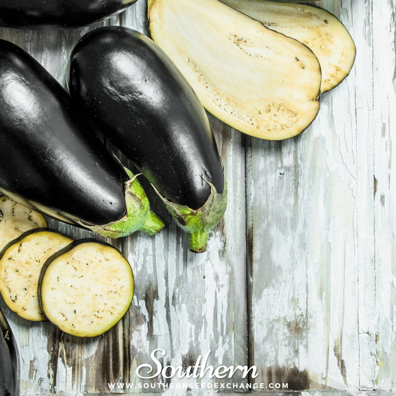 Load image into Gallery viewer, Black Beauty Eggplant – 50 Seeds
