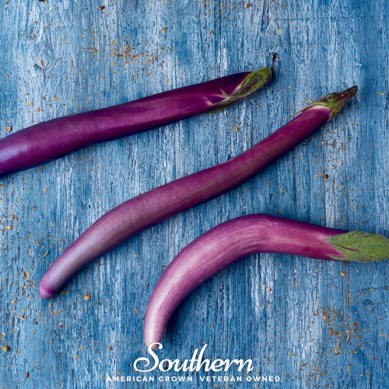 Load image into Gallery viewer, Long Purple Eggplant – 50 Seeds

