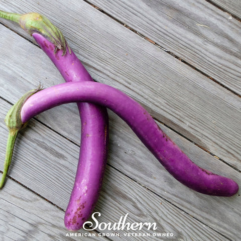 Long Purple Eggplant 50 Seeds