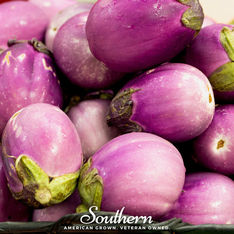 Rosa Bianca Eggplant seeds package, 50 count, GrowTime Garden Supply