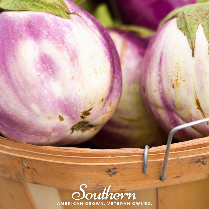 Load image into Gallery viewer, Rosa Bianca Eggplant – 50 Seeds
