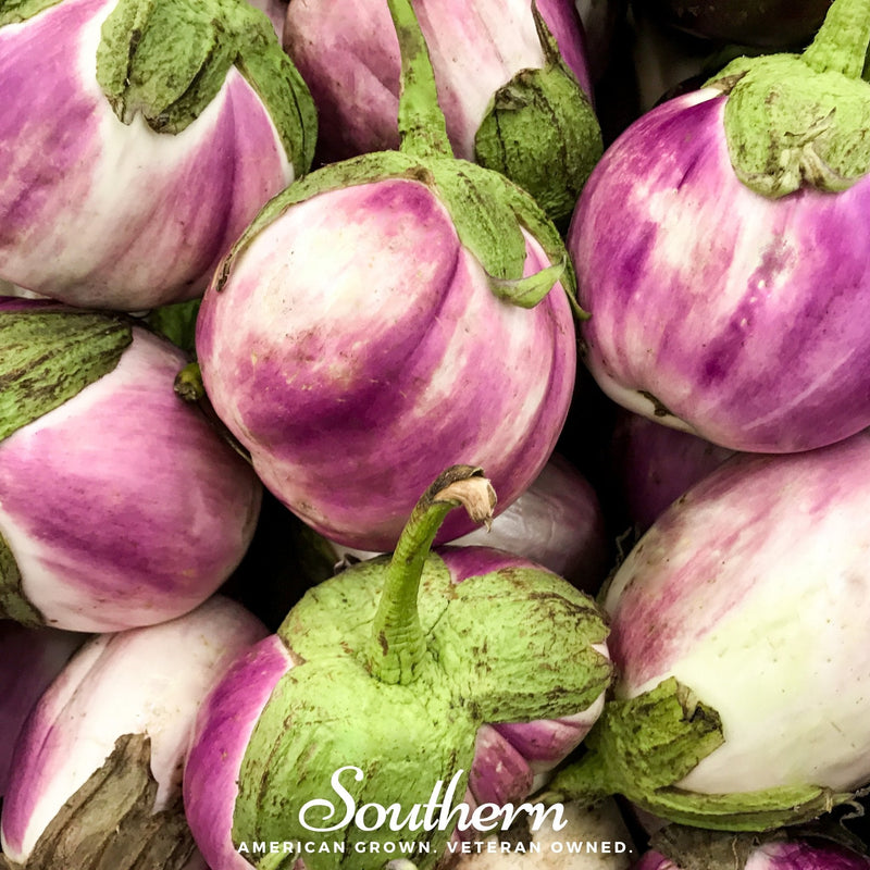 Load image into Gallery viewer, Rosa Bianca Eggplant – 50 Seeds
