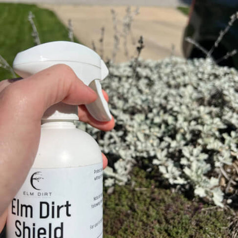 Elm Dirt Shield all-natural pesticide bottle, front label