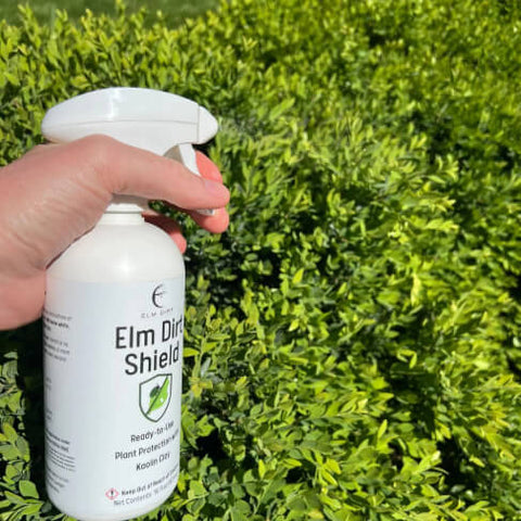 Elm Dirt Shield pesticide bottle, back label with directions