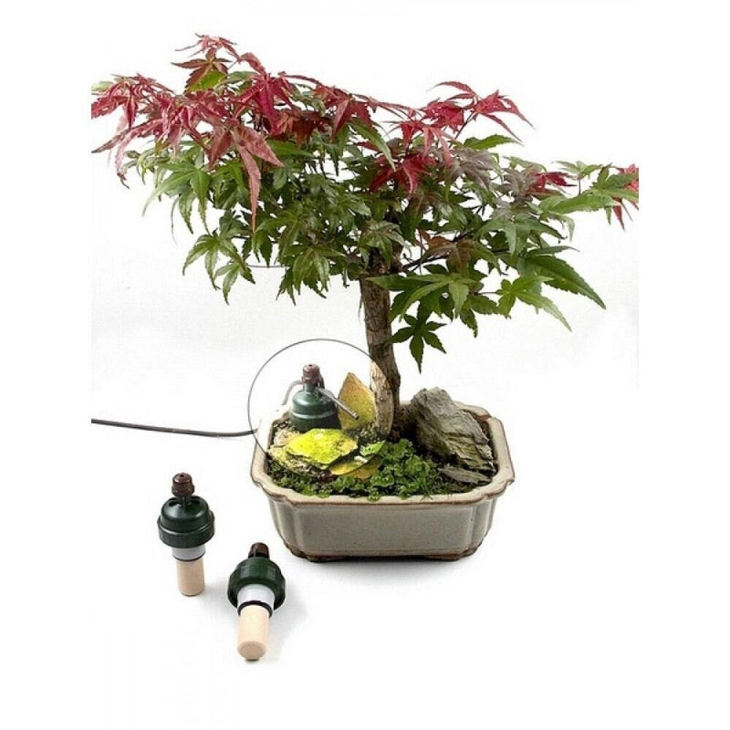 Load image into Gallery viewer, Blumat Bonsai Automatic Plant Watering Sensor
