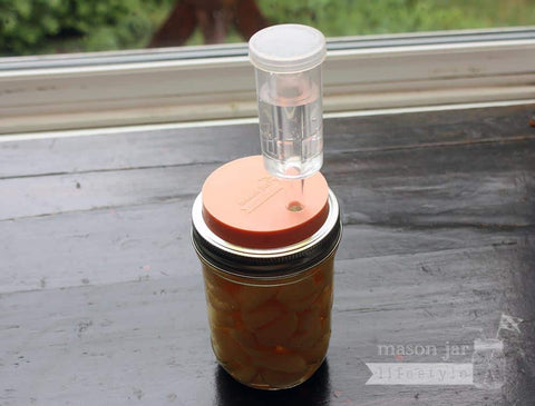 Fermentation airlock, components detail