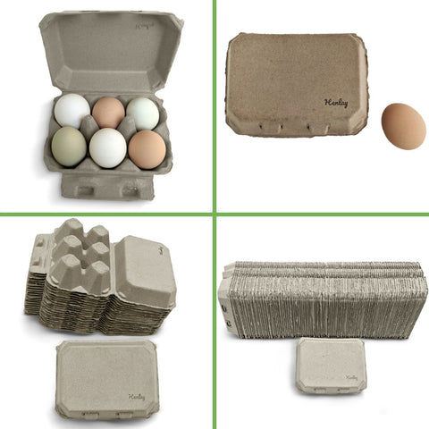 Half Dozen Egg Cartons - Henlay Blank Flat Top, Six Pack, 2 colors, 20 or 100, top view