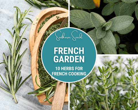 French Garden Seed Collection 10 Varieties